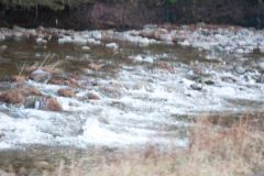 D10_7261.jpg