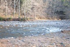 D10_7264.jpg