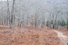 D13_7556.jpg